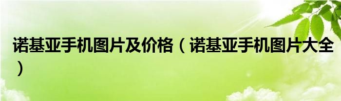 诺基亚手机图片及价格（诺基亚手机图片大全）