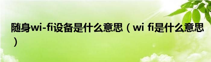 随身wi-fi设备是什么意思（wi fi是什么意思）