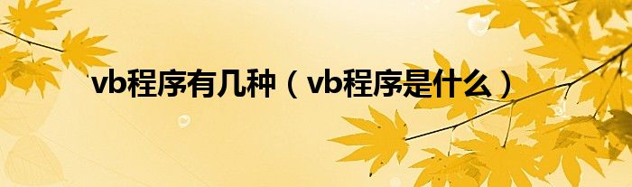 vb程序有几种（vb程序是什么）