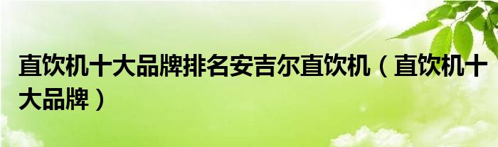 直饮机十大品牌排名安吉尔直饮机（直饮机十大品牌）