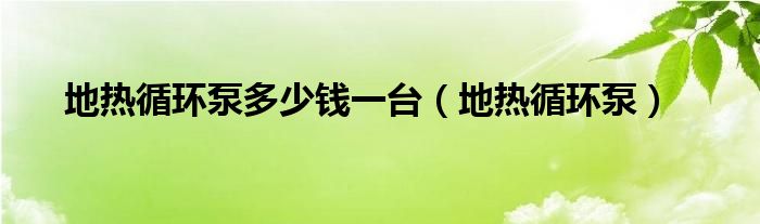 地热循环泵多少钱一台（地热循环泵）