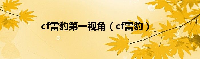 cf雷豹第一视角（cf雷豹）