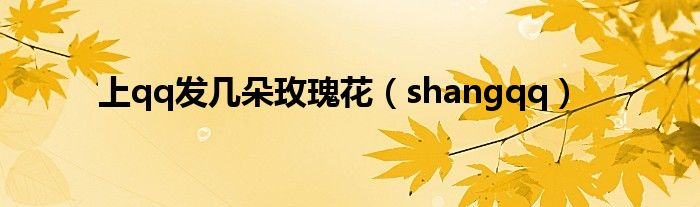 上qq发几朵玫瑰花（shangqq）