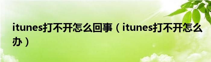 itunes打不开怎么回事（itunes打不开怎么办）