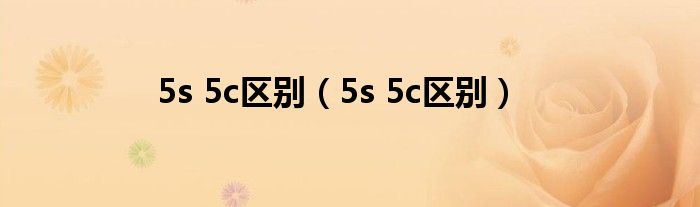 5s 5c区别（5s 5c区别）