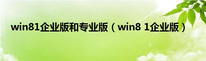 win81企业版和专业版（win8 1企业版）