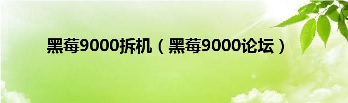 黑莓9000拆机（黑莓9000论坛）