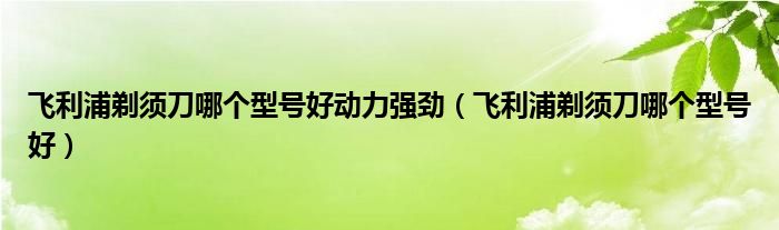 飞利浦剃须刀哪个型号好动力强劲（飞利浦剃须刀哪个型号好）