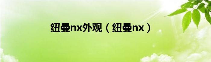 纽曼nx外观（纽曼nx）