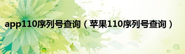 app110序列号查询（苹果110序列号查询）