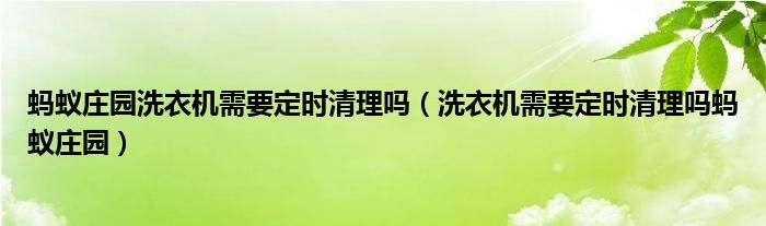 蚂蚁庄园洗衣机需要定时清理吗（洗衣机需要定时清理吗蚂蚁庄园）