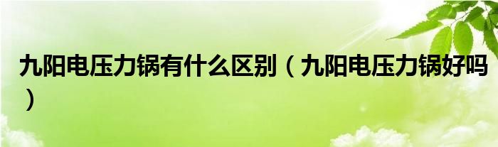 九阳电压力锅有什么区别（九阳电压力锅好吗）