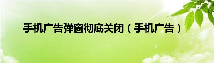 手机广告弹窗彻底关闭（手机广告）