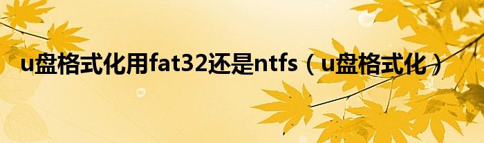 u盘格式化用fat32还是ntfs（u盘格式化）