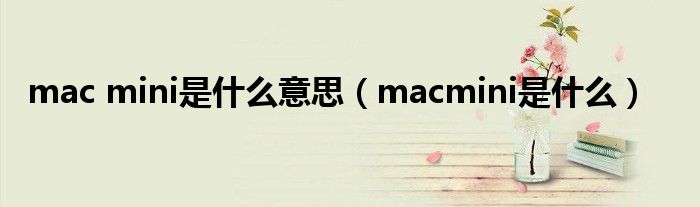 mac mini是什么意思（macmini是什么）