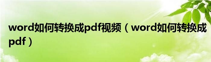 word如何转换成pdf视频（word如何转换成pdf）