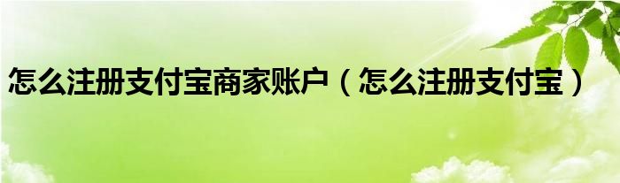 怎么注册支付宝商家账户（怎么注册支付宝）