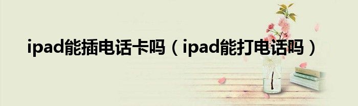 ipad能插电话卡吗（ipad能打电话吗）