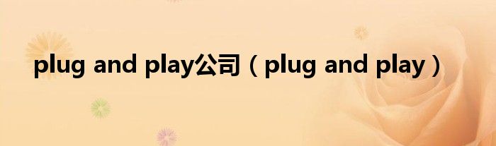 plug and play公司（plug and play）