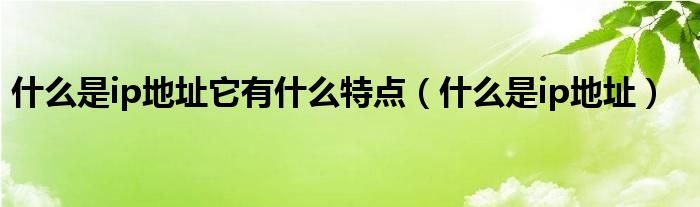 什么是ip地址它有什么特点（什么是ip地址）