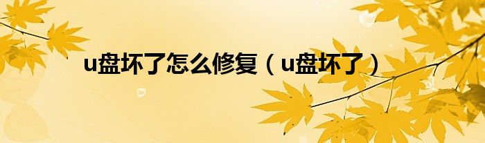 u盘坏了怎么修复（u盘坏了）