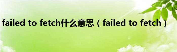 failed to fetch什么意思（failed to fetch）