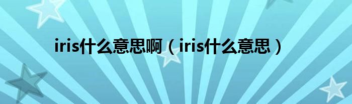 iris什么意思啊（iris什么意思）