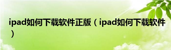 ipad如何下载软件正版（ipad如何下载软件）