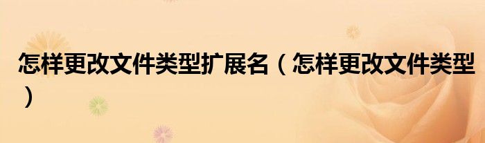 怎样更改文件类型扩展名（怎样更改文件类型）