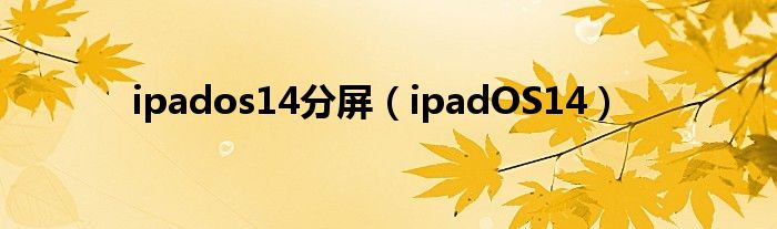 ipados14分屏（ipadOS14）