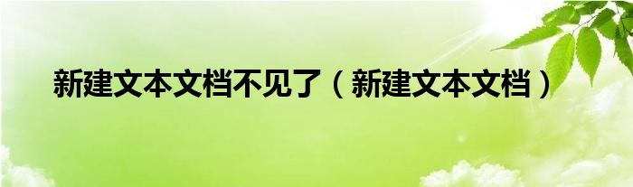 新建文本文档不见了（新建文本文档）