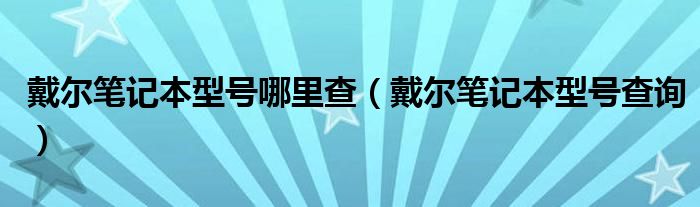 戴尔笔记本型号哪里查（戴尔笔记本型号查询）