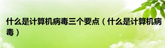 什么是计算机病毒三个要点（什么是计算机病毒）