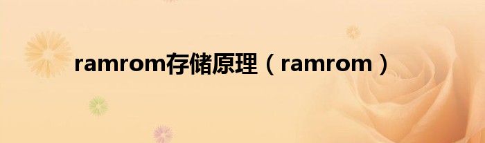 ramrom存储原理（ramrom）