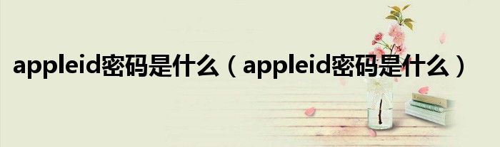 appleid密码是什么（appleid密码是什么）