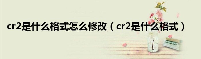 cr2是什么格式怎么修改（cr2是什么格式）