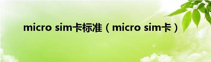 micro sim卡标准（micro sim卡）