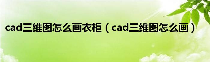 cad三维图怎么画衣柜（cad三维图怎么画）