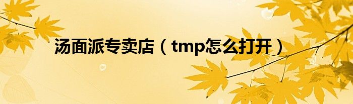 汤面派专卖店（tmp怎么打开）