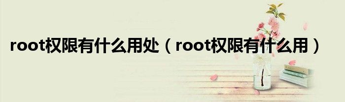 root权限有什么用处（root权限有什么用）