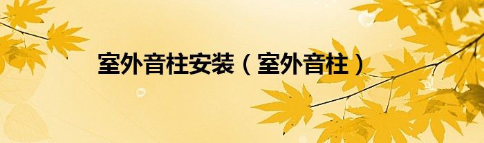 室外音柱安装（室外音柱）