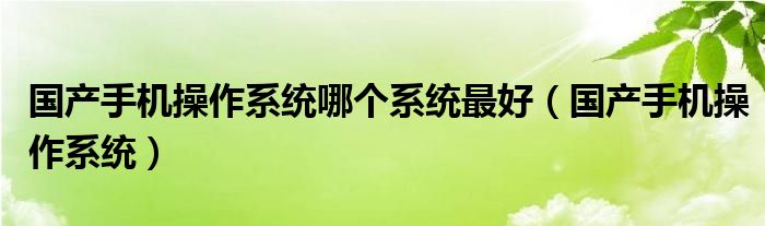 国产手机操作系统哪个系统最好（国产手机操作系统）