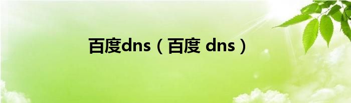 百度dns（百度 dns）