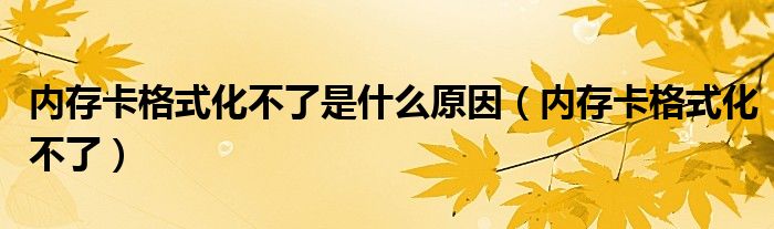 内存卡格式化不了是什么原因（内存卡格式化不了）