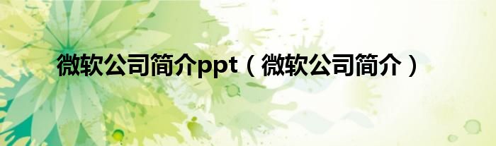 微软公司简介ppt（微软公司简介）