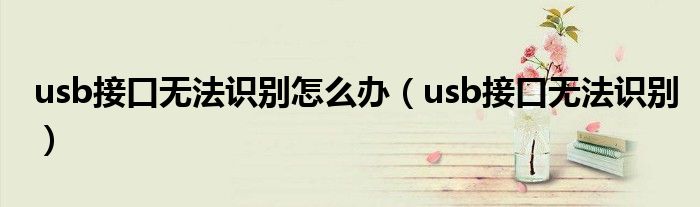 usb接口无法识别怎么办（usb接口无法识别）