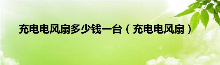 充电电风扇多少钱一台（充电电风扇）