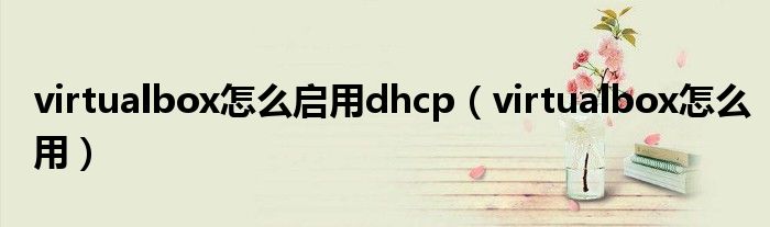 virtualbox怎么启用dhcp（virtualbox怎么用）