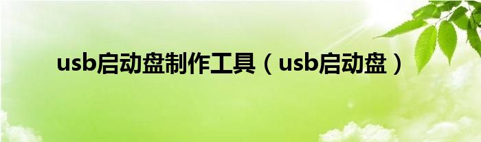 usb启动盘制作工具（usb启动盘）