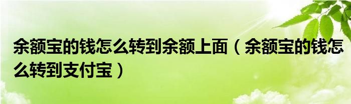 余额宝的钱怎么转到余额上面（余额宝的钱怎么转到支付宝）